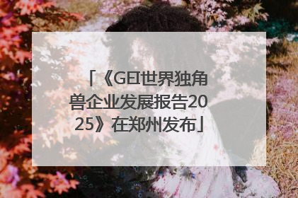 《GEI世界独角兽企业发展报告2025》在郑州发布