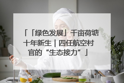 「绿色发展」千亩荷塘 十年新生｜四任航空村官的“生态接力”