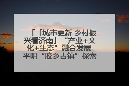 「城市更新 乡村振兴看济南」“产业+文化+生态”融合发展 平阴“胶乡古镇”探索振兴路径成效显著