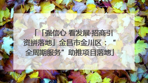 「强信心 看发展·招商引资拼落地」金昌市金川区：“全周期服务”助推项目落地