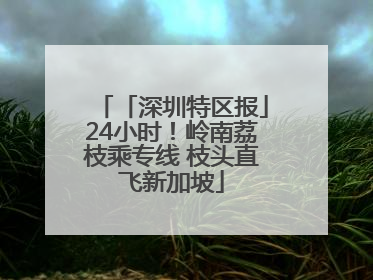 「深圳特区报」24小时！岭南荔枝乘专线 枝头直飞新加坡