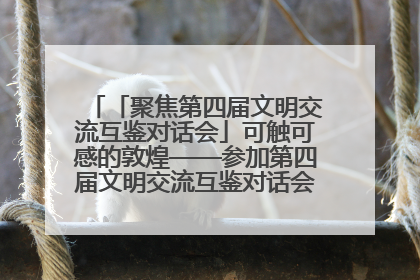 「聚焦第四届文明交流互鉴对话会」可触可感的敦煌——参加第四届文明交流互鉴对话会的外宾参观上元市集