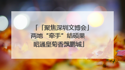 「聚焦深圳文博会」两地“牵手”结硕果 昭通皇菊香飘鹏城
