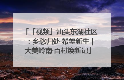 「视频」汕头东湖社区：乡愁归处 希望新生｜大美岭南·百村焕新记