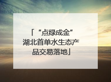 “点绿成金” 湖北首单水生态产品交易落地