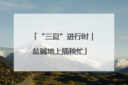 “三夏”进行时｜盐碱地上插秧忙