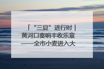 “三夏”进行时｜黄河口奏响丰收乐章——全市小麦进入大面积收获高峰期