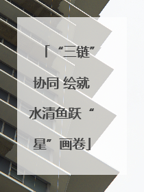 “三链”协同 绘就水清鱼跃“星”画卷