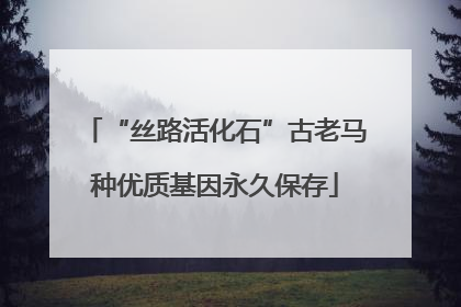 “丝路活化石”古老马种优质基因永久保存