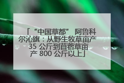 “中国草都” 阿鲁科尔沁旗：从野生牧草亩产 35 公斤到苜蓿草亩产 800 公斤以上