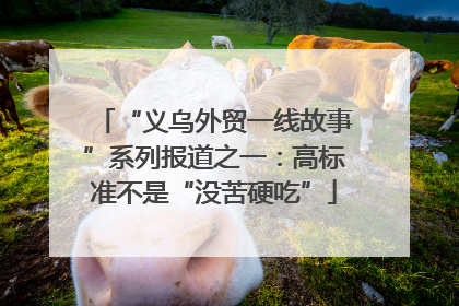 “义乌外贸一线故事”系列报道之一：高标准不是“没苦硬吃”