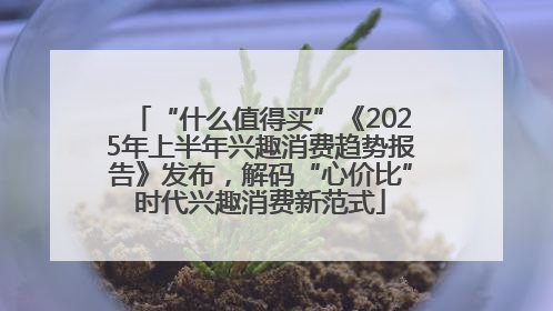 “什么值得买”《2025年上半年兴趣消费趋势报告》发布，解码“心价比”时代兴趣消费新范式