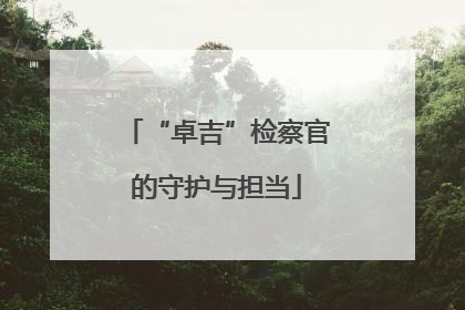 “卓吉”检察官的守护与担当
