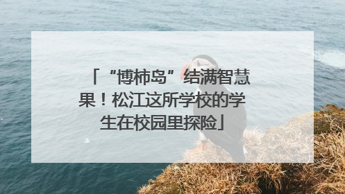 “博柿岛”结满智慧果！松江这所学校的学生在校园里探险