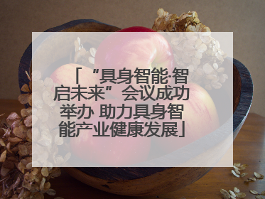“具身智能·智启未来”会议成功举办 助力具身智能产业健康发展