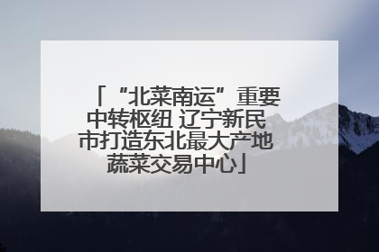 “北菜南运”重要中转枢纽 辽宁新民市打造东北最大产地蔬菜交易中心