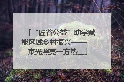 “匠谷公益”助学赋能区域乡村振兴——一束光照亮一方热土