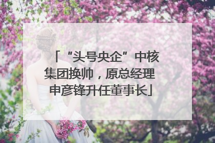 “头号央企”中核集团换帅，原总经理申彦锋升任董事长