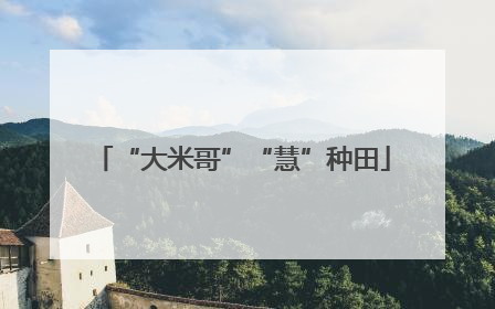 “大米哥”“慧”种田