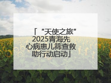 “天使之旅”2025青海先心病患儿筛查救助行动启动