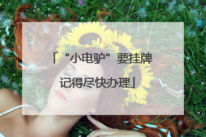 “小电驴”要挂牌 记得尽快办理