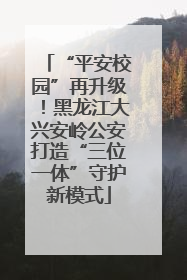 “平安校园”再升级！黑龙江大兴安岭公安打造“三位一体”守护新模式