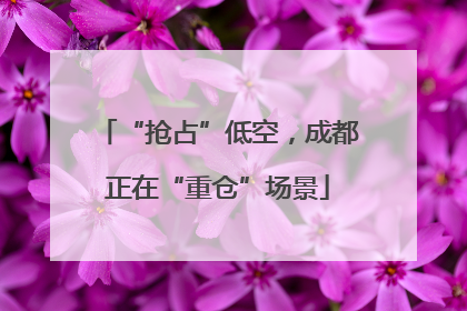 “抢占”低空，成都正在“重仓”场景