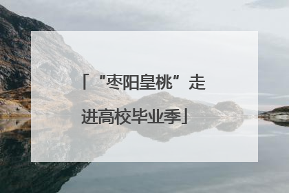 “枣阳皇桃”走进高校毕业季