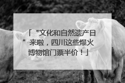 “文化和自然遗产日”来啦，四川这些爆火博物馆门票半价！
