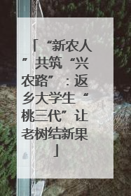 “新农人”共筑“兴农路”：返乡大学生“桃三代”让老树结新果