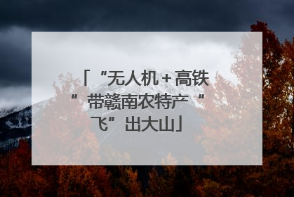 “无人机＋高铁”带赣南农特产“飞”出大山