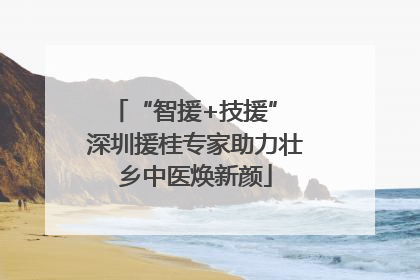 “智援+技援” 深圳援桂专家助力壮乡中医焕新颜