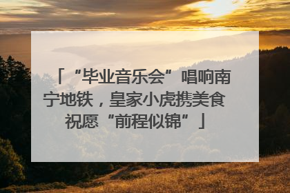 “毕业音乐会”唱响南宁地铁，皇家小虎携美食祝愿“前程似锦”