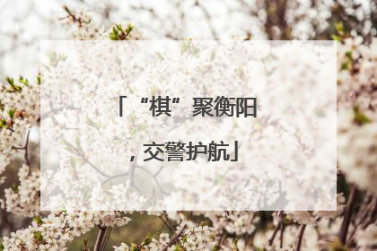 “棋”聚衡阳，交警护航