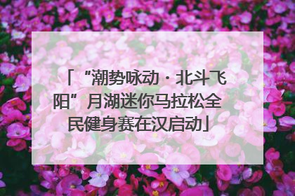 “潮势咏动・北斗飞阳”月湖迷你马拉松全民健身赛在汉启动