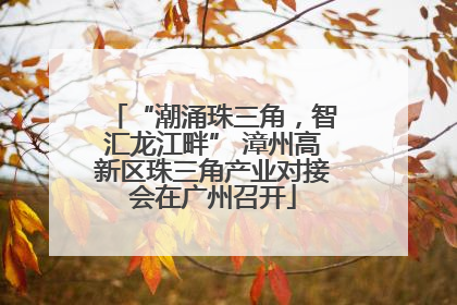 “潮涌珠三角，智汇龙江畔” 漳州高新区珠三角产业对接会在广州召开
