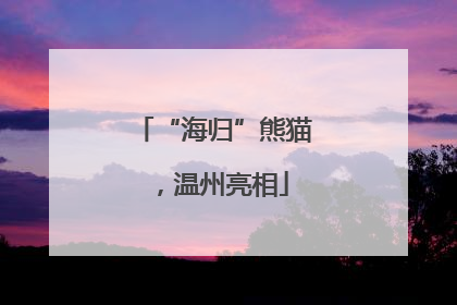 “海归”熊猫，温州亮相
