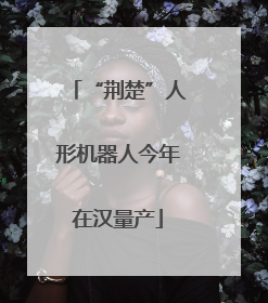 “荆楚”人形机器人今年在汉量产