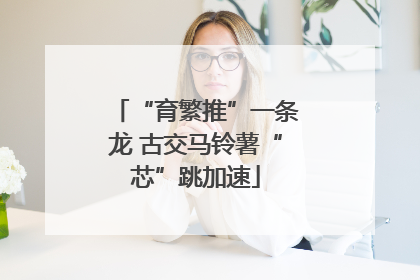 “育繁推”一条龙 古交马铃薯“芯”跳加速