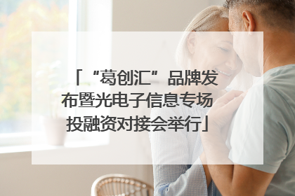 “葛创汇”品牌发布暨光电子信息专场投融资对接会举行
