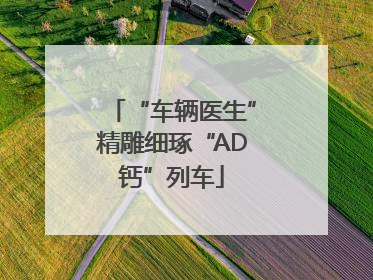 “车辆医生”精雕细琢“AD钙”列车