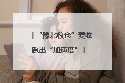 “豫北粮仓”麦收跑出“加速度”