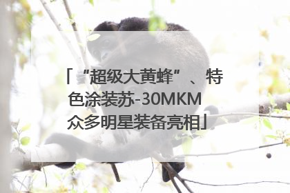 “超级大黄蜂”、特色涂装苏-30MKM 众多明星装备亮相