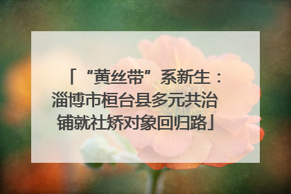 “黄丝带”系新生：淄博市桓台县多元共治铺就社矫对象回归路