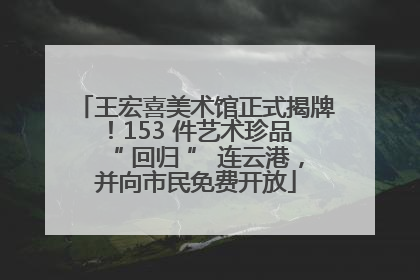 王宏喜美术馆正式揭牌！153 件艺术珍品 “ 回归 ” 连云港，并向市民免费开放