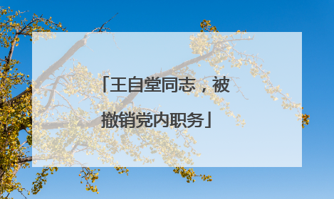 王自堂同志，被撤销党内职务