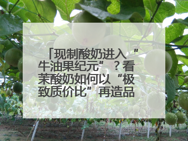现制酸奶进入“牛油果纪元”？看茉酸奶如何以“极致质价比”再造品类天花板