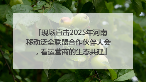现场直击2025年河南移动泛全联盟合作伙伴大会，看运营商的生态共建