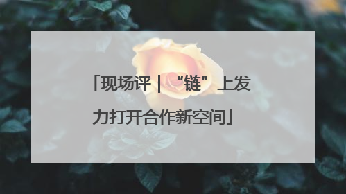 现场评｜“链”上发力打开合作新空间