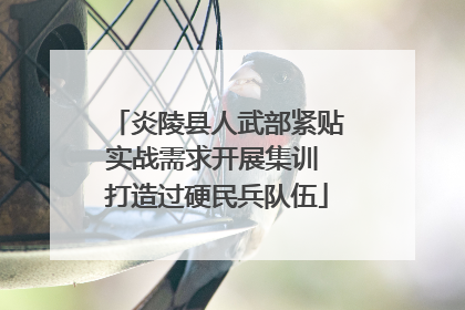 炎陵县人武部紧贴实战需求开展集训 打造过硬民兵队伍